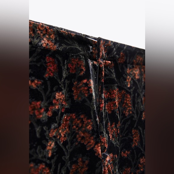 Zara the charlotte Velvet pant - Picture 4 of 6